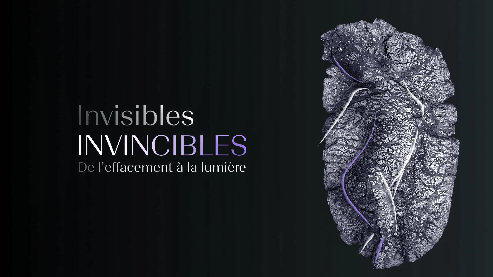 Affiche principale Invisibles Invincibles